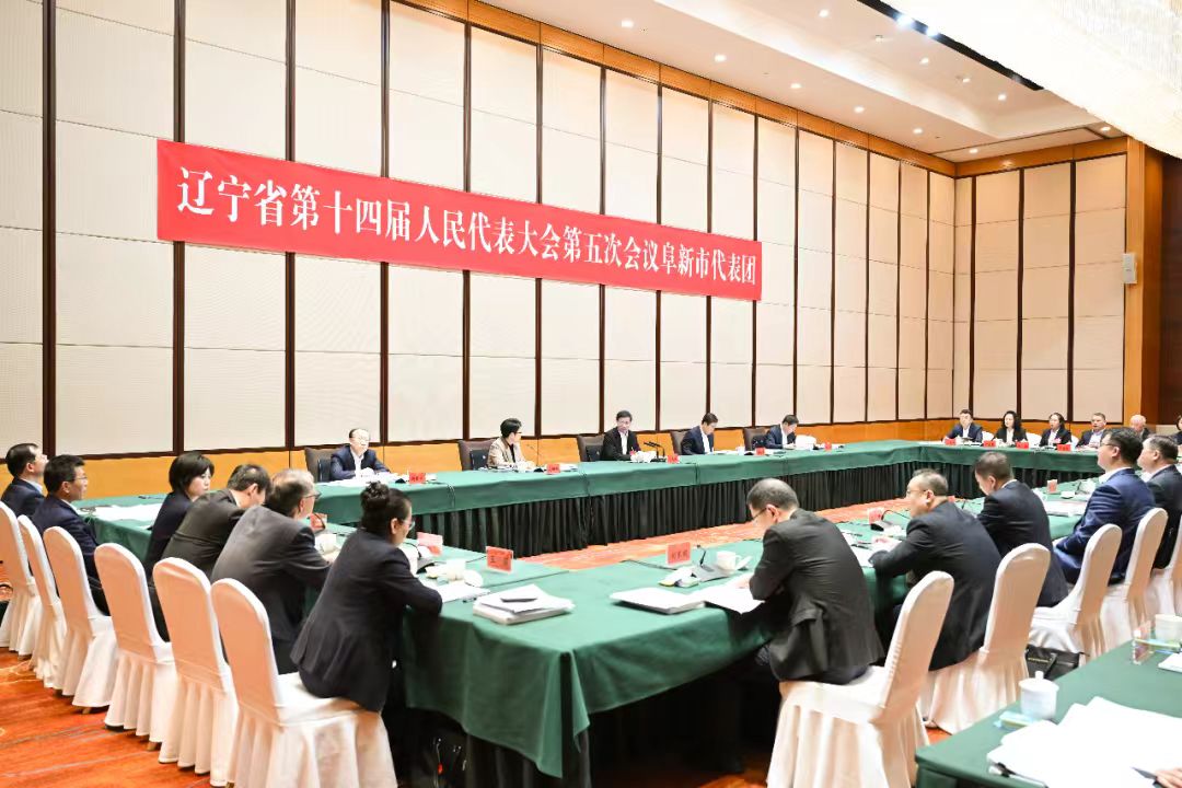 许昆林参加阜新代表团审议